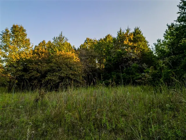 Photo 7 — Lot B - Williams Road, Tribbey, OK 74878