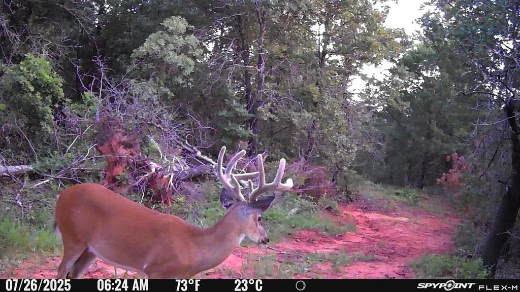 Photo 9 — Lot B - Williams Road, Tribbey, OK 74878