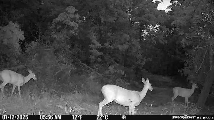 Photo 10 — Lot B - Williams Road, Tribbey, OK 74878