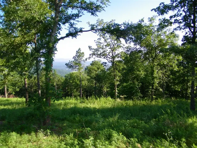 Photo 2 — NE 155th Street, Red Oak, OK 74563