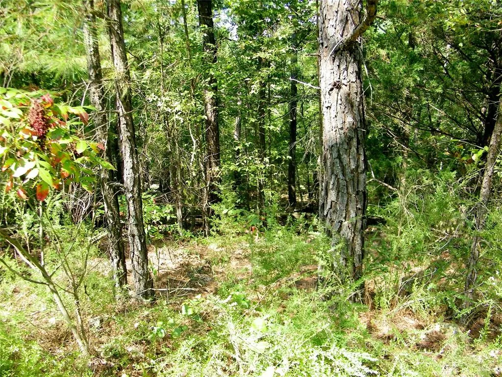 Photo 7 — NE 155th Street, Red Oak, OK 74563