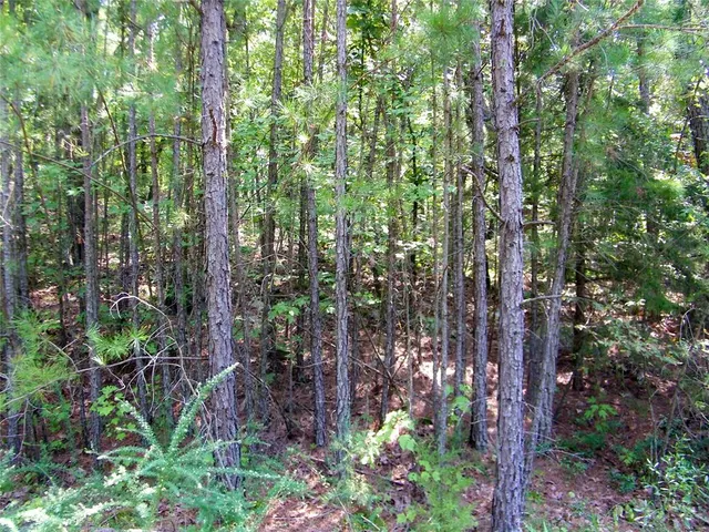 Photo 8 — NE 155th Street, Red Oak, OK 74563