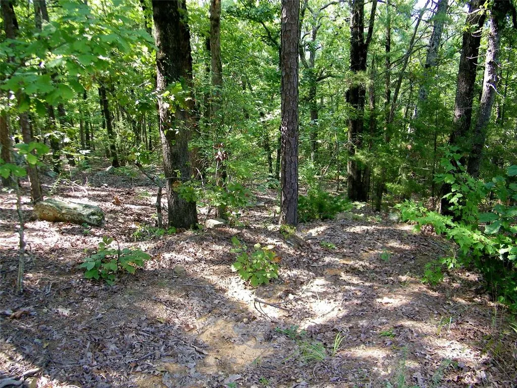 Photo 10 — NE 155th Street, Red Oak, OK 74563