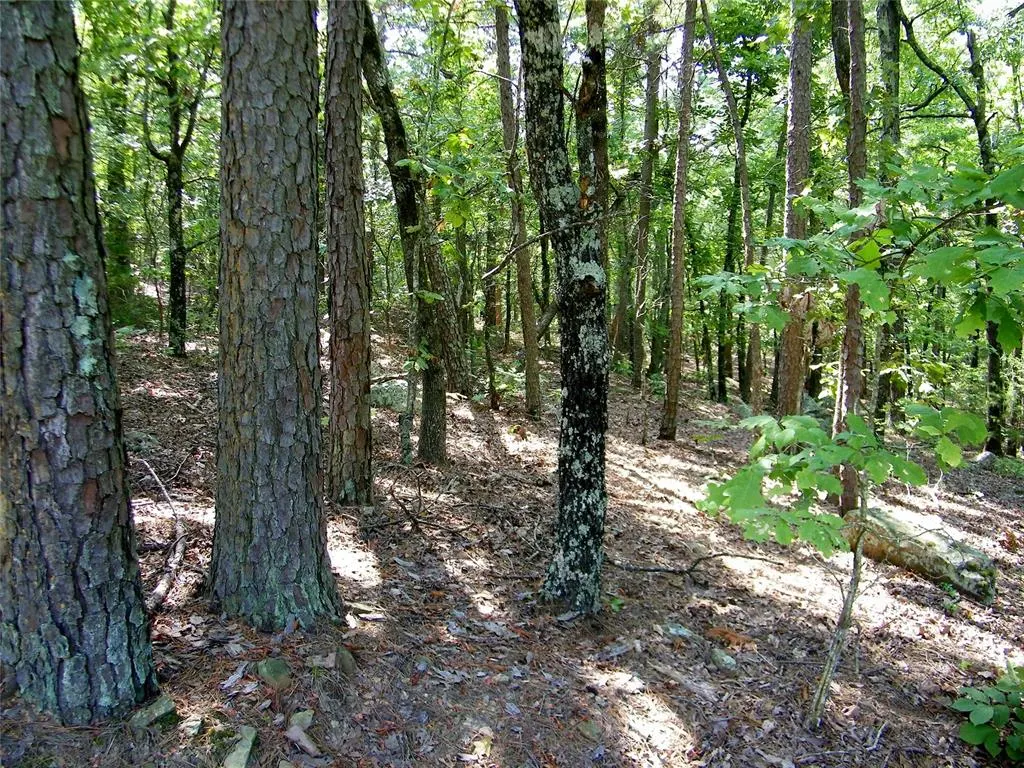 Photo 11 — NE 155th Street, Red Oak, OK 74563