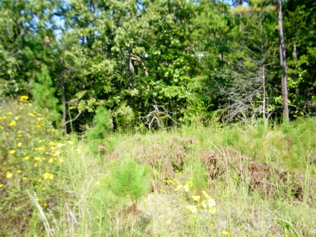 Photo 12 — NE 155th Street, Red Oak, OK 74563