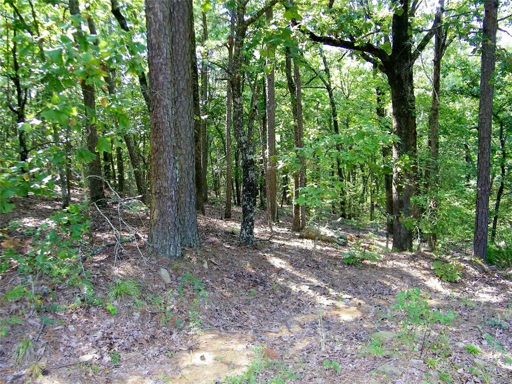 Photo 13 — NE 155th Street, Red Oak, OK 74563