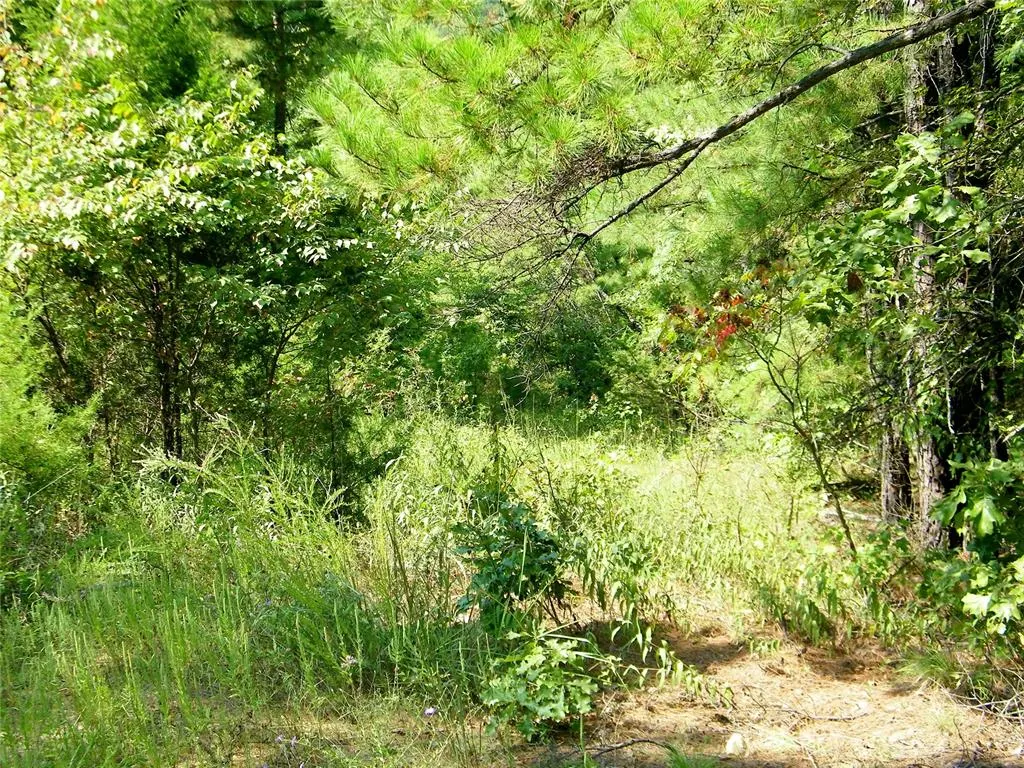 Photo 17 — NE 155th Street, Red Oak, OK 74563