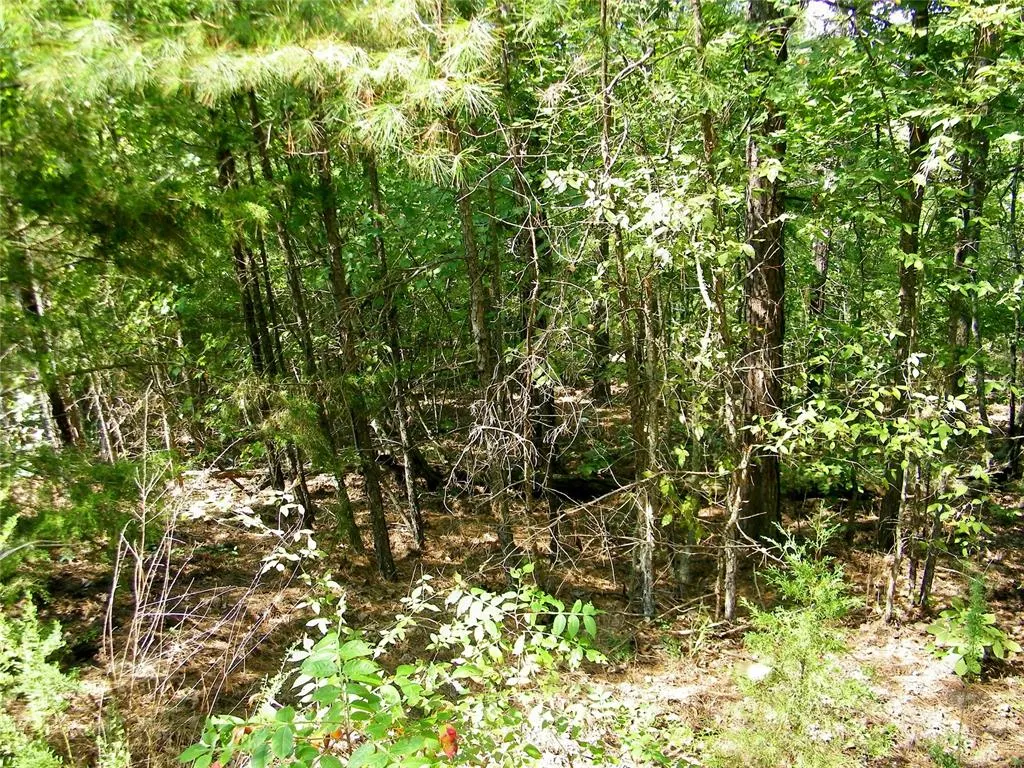 Photo 21 — NE 155th Street, Red Oak, OK 74563