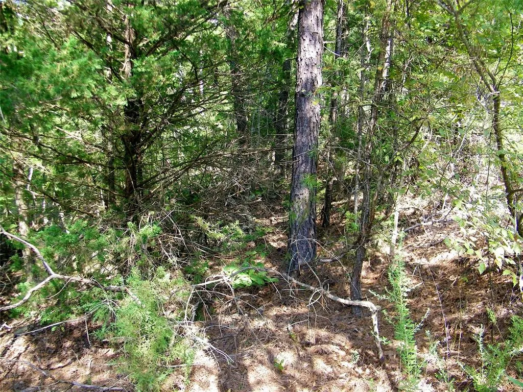 Photo 22 — NE 155th Street, Red Oak, OK 74563