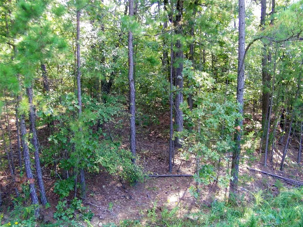 Photo 25 — NE 155th Street, Red Oak, OK 74563