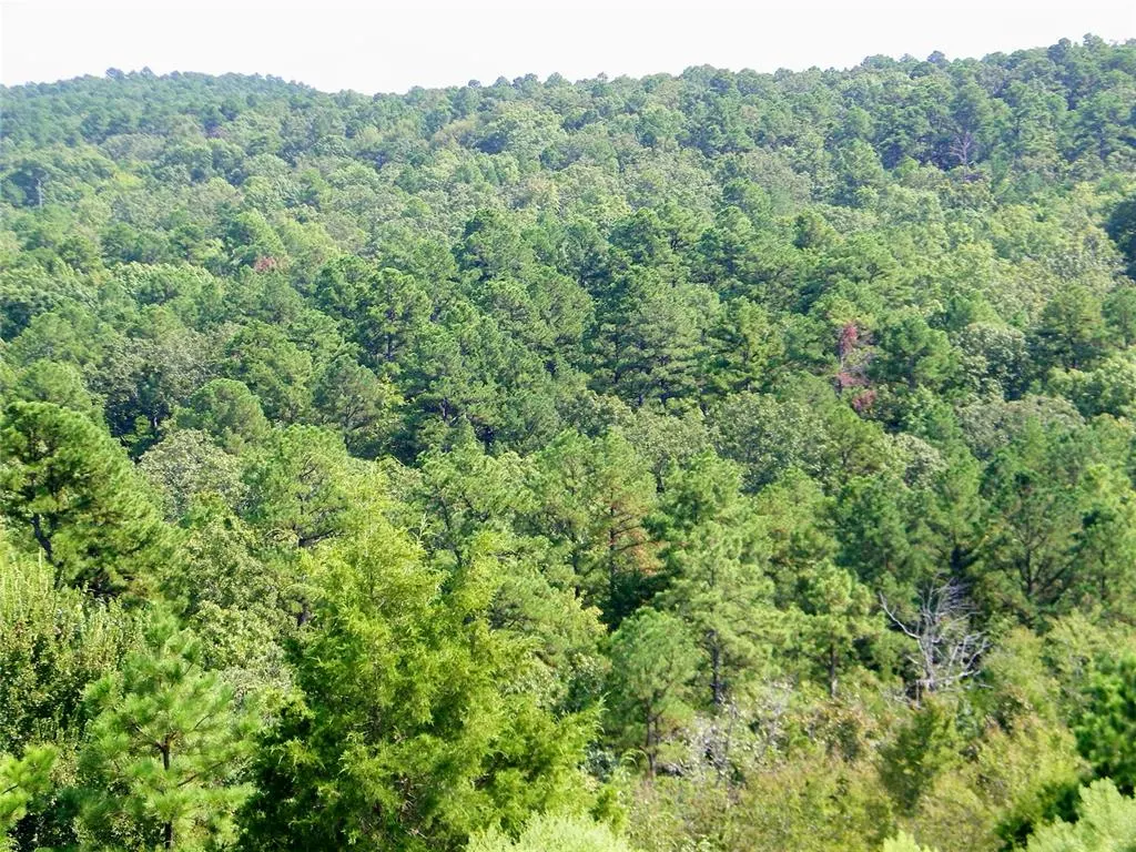 Photo 27 — NE 155th Street, Red Oak, OK 74563