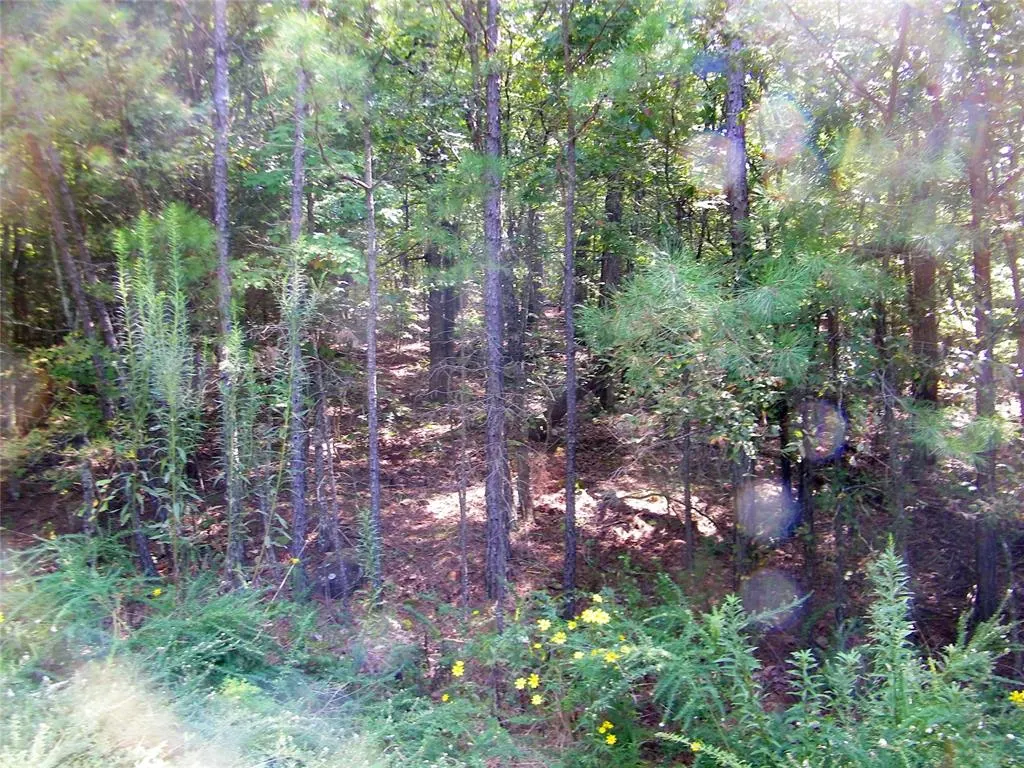 Photo 33 — NE 155th Street, Red Oak, OK 74563