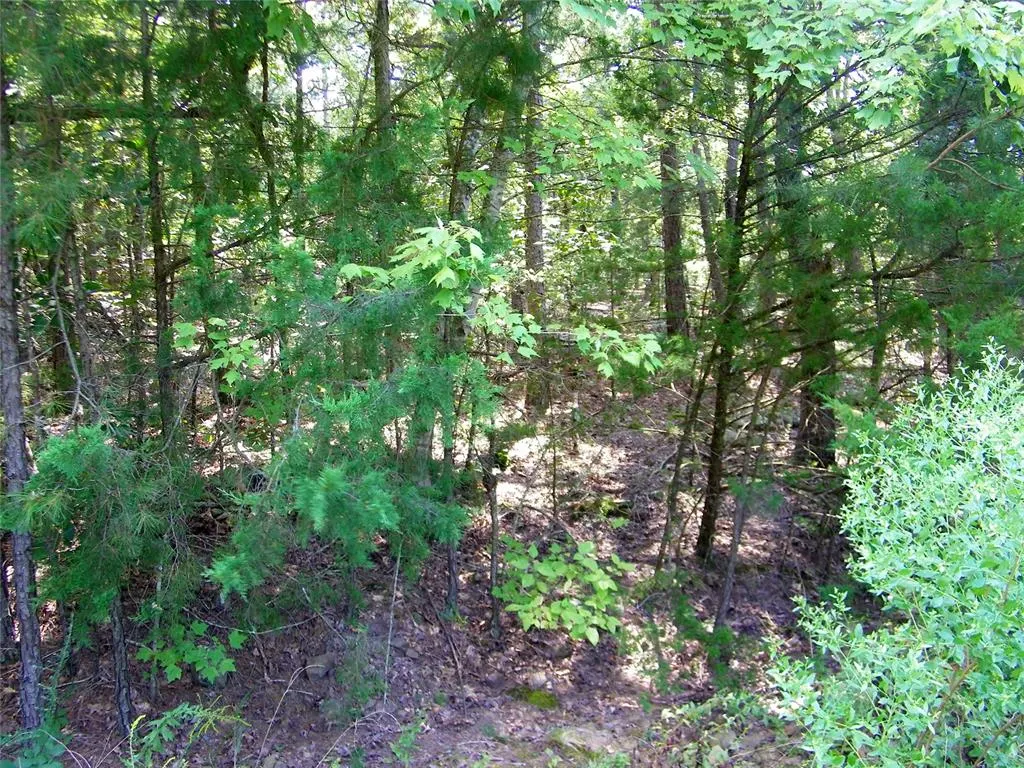 Photo 43 — NE 155th Street, Red Oak, OK 74563