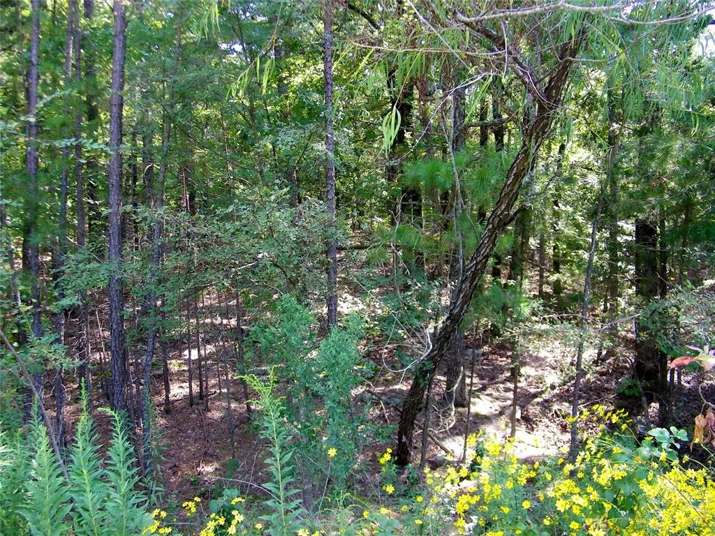 Photo 44 — NE 155th Street, Red Oak, OK 74563