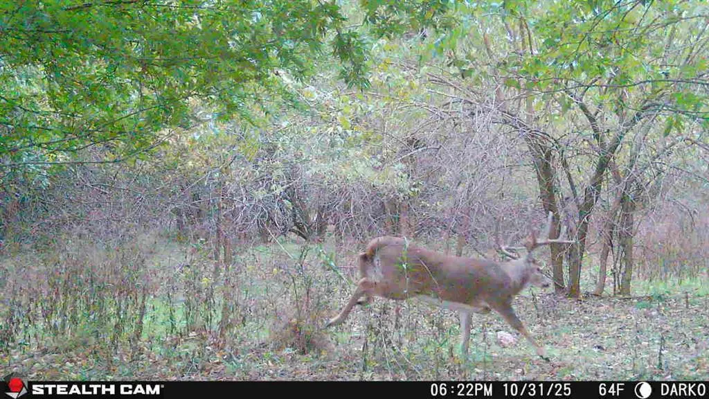Photo 18 — County Street 2660, Anadarko, OK 73005