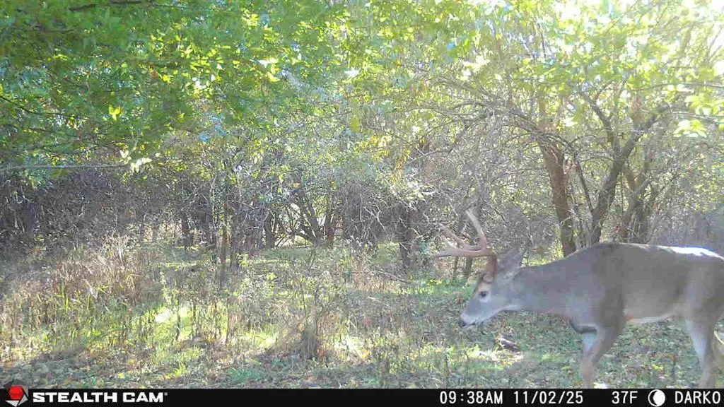 Photo 19 — County Street 2660, Anadarko, OK 73005