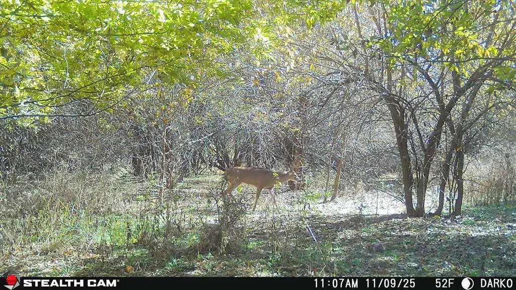 Photo 20 — County Street 2660, Anadarko, OK 73005