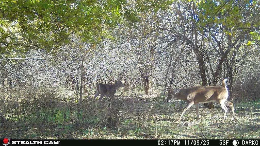 Photo 22 — County Street 2660, Anadarko, OK 73005