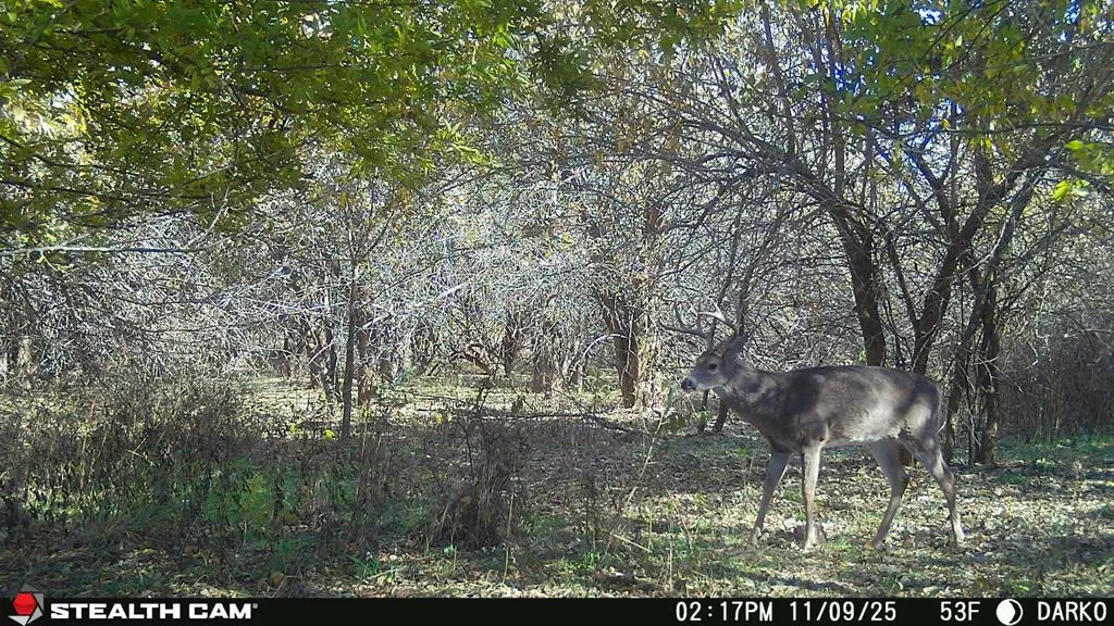 Photo 23 — County Street 2660, Anadarko, OK 73005