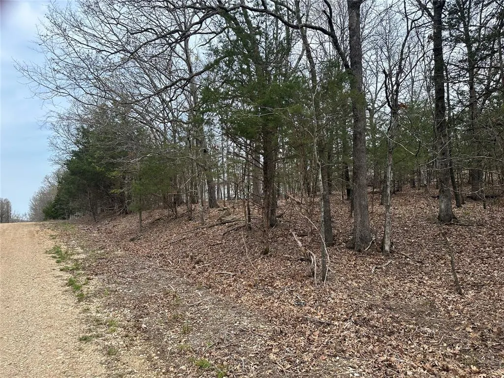 Photo 2 — 000 S 511 Road, Park Hill, OK 74451