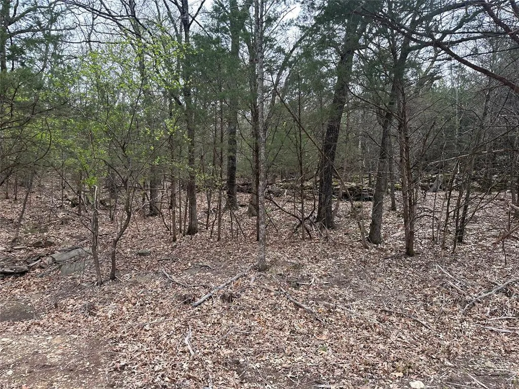 Photo 3 — 000 S 511 Road, Park Hill, OK 74451