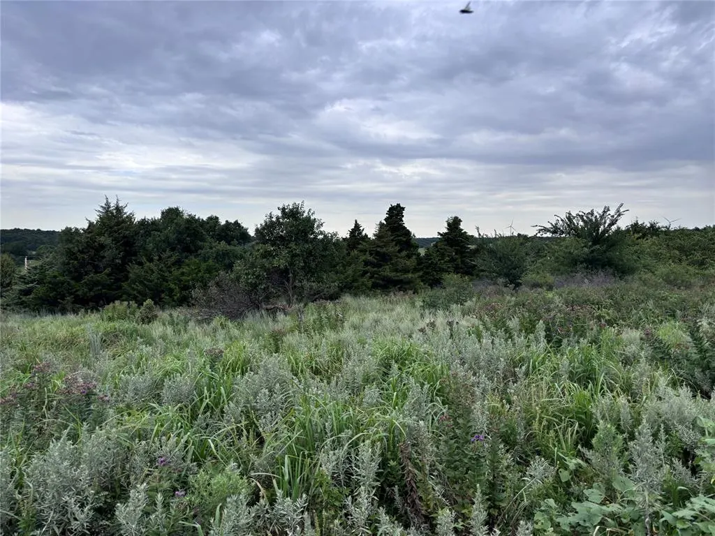 Photo 2 — 0000 N CR 1200 Tract 1 Road 1, Minco, OK 73059