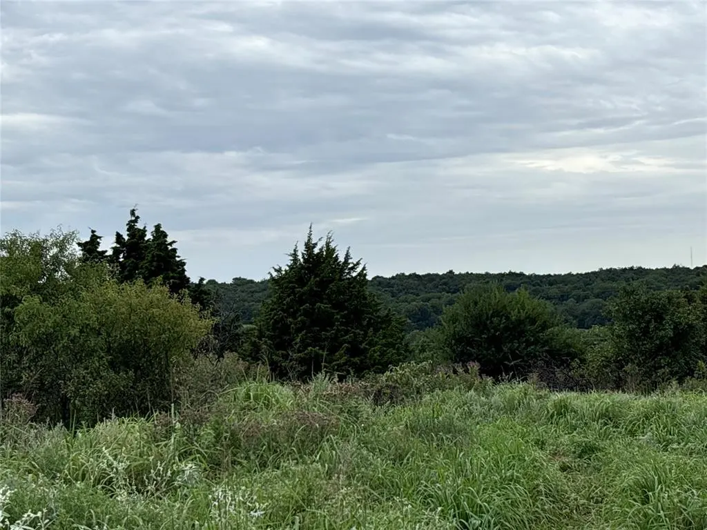 Photo 3 — 000 N 2750 Rd Road 3, Minco, OK 73059