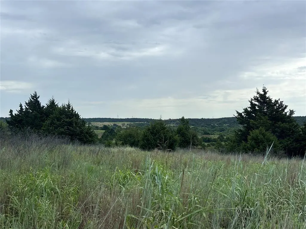 Photo 4 — 000 N N 2750 Road 4, Minco, OK 73059