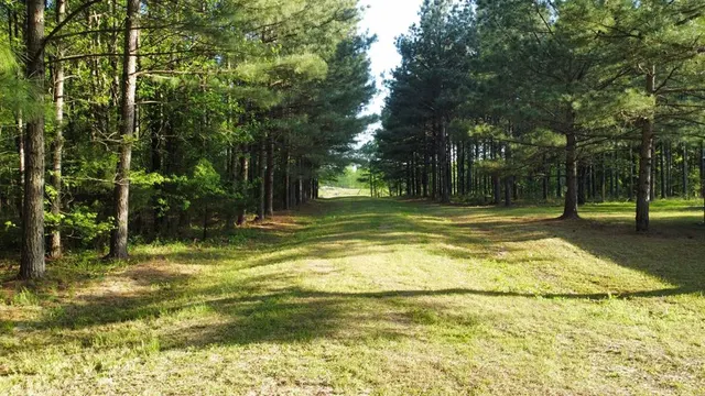 Photo 8 — 2621 Goodwater Road, Idabel, OK 74745