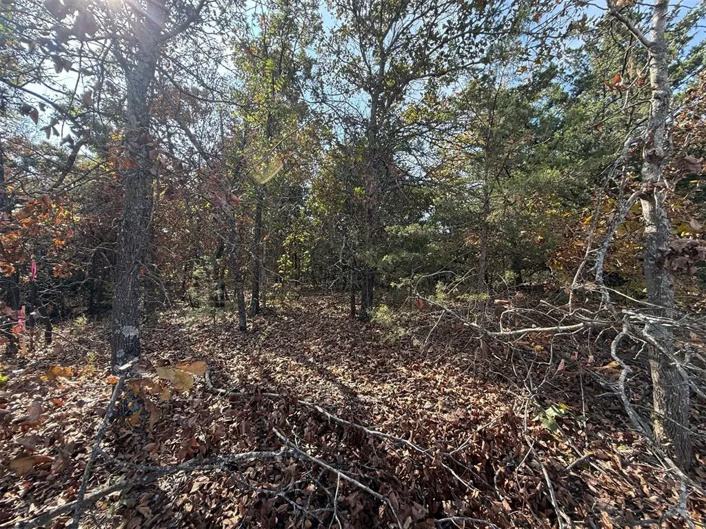 Photo 2 — 19 West Street, Noble, OK 73068
