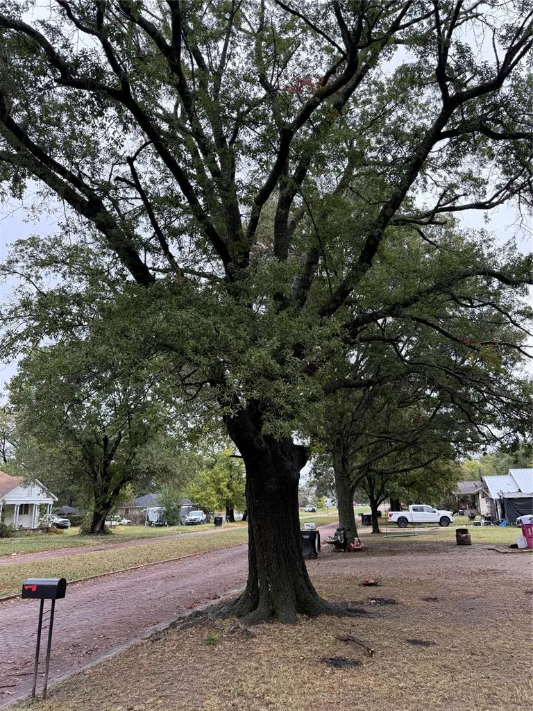Photo 26 — 300 E Broadway Street, Wetumka, OK 74883