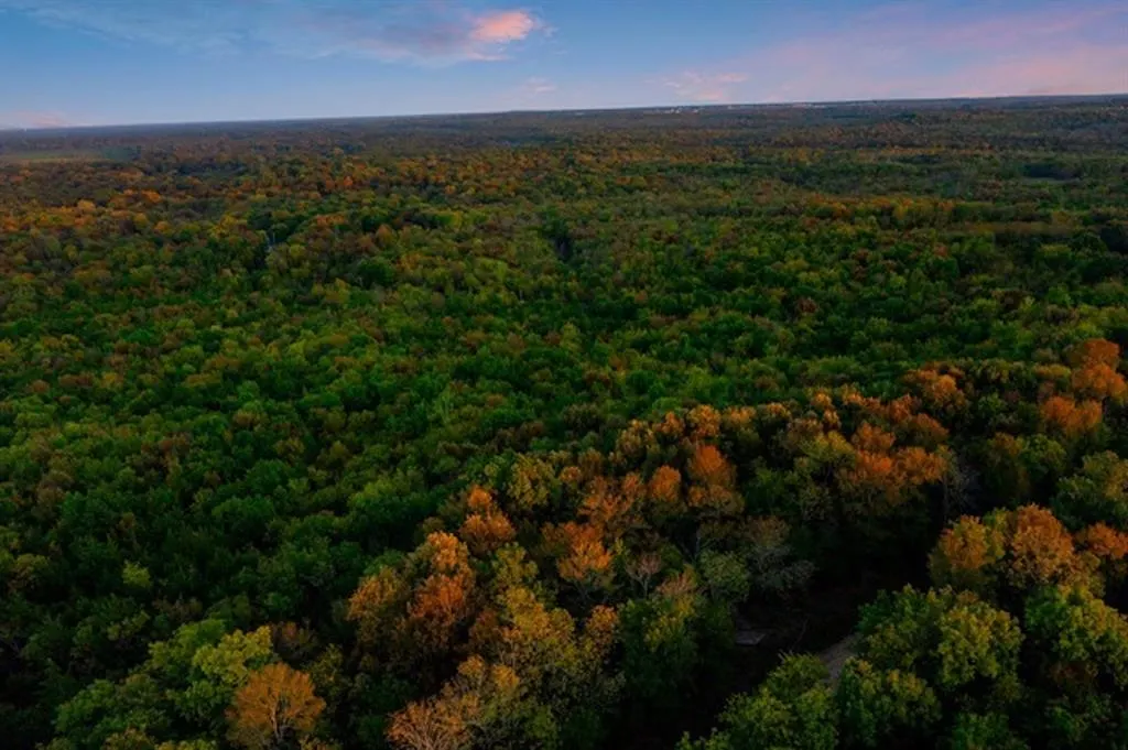 Photo 3 — River Bluff Road, Idabel, OK 74745