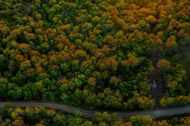 Photo 4 — River Bluff Road, Idabel, OK 74745