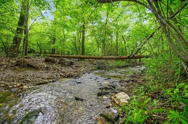 Photo 40 — 413 W Eagle Mountain Trail, Broken Bow, OK 74728
