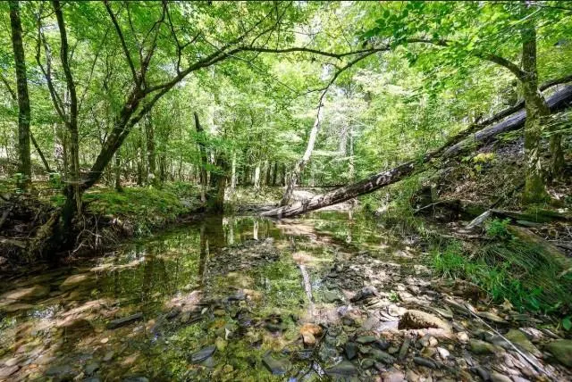 Photo 41 — 413 W Eagle Mountain Trail, Broken Bow, OK 74728