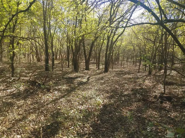 Photo 6 — 408 Red Rock Rd Road, Tuttle, OK 73089