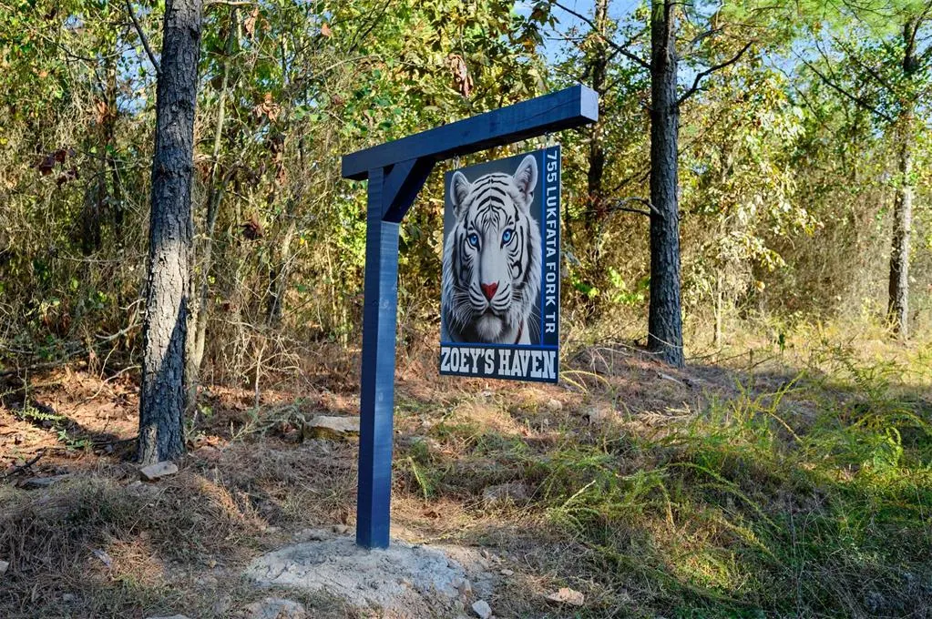Photo 45 — 755 Lukfata Fork Trail, Broken Bow, OK 74728