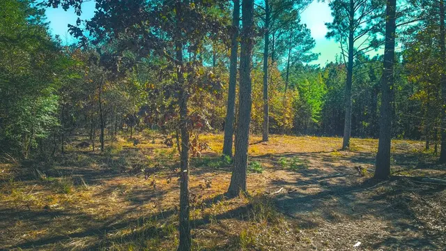 Photo 3 — 956 Cress Road, Broken Bow, OK 74728