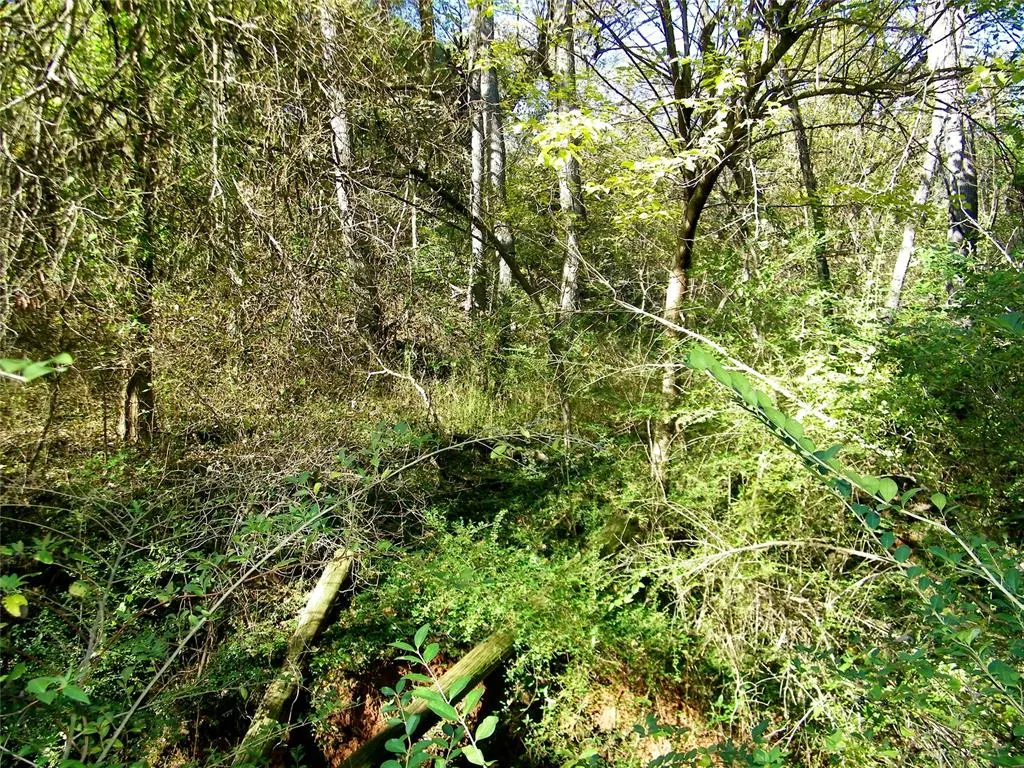 Photo 18 — 2 S County Line / Lot 2 Road, Mustang, OK 73173