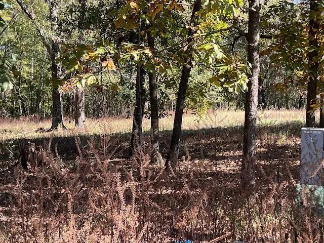 Photo 2 — 136 Deer Valley Circle, Broken Bow, OK 74728