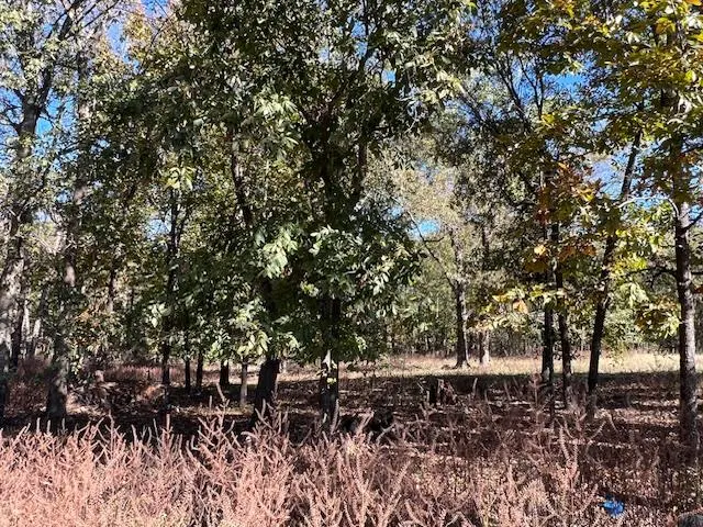 Photo 4 — 136 Deer Valley Circle, Broken Bow, OK 74728