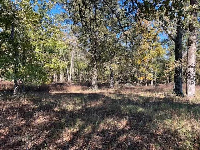 Photo 5 — 136 Deer Valley Circle, Broken Bow, OK 74728