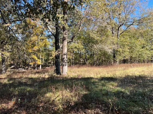 Photo 6 — 136 Deer Valley Circle, Broken Bow, OK 74728