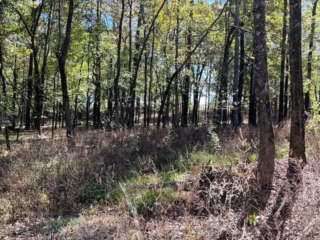 Photo 2 — 176 Deer Valley Circle, Broken Bow, OK 74728