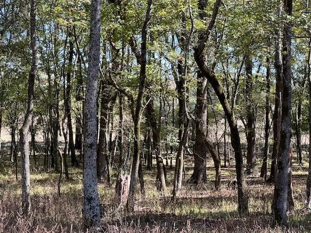 Photo 3 — 176 Deer Valley Circle, Broken Bow, OK 74728