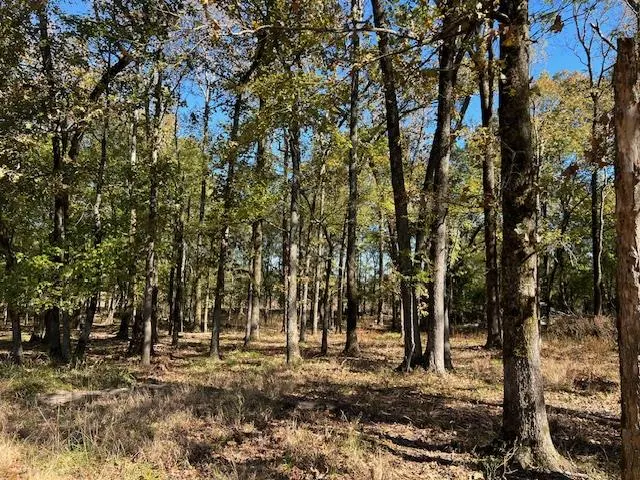 Photo 4 — 176 Deer Valley Circle, Broken Bow, OK 74728