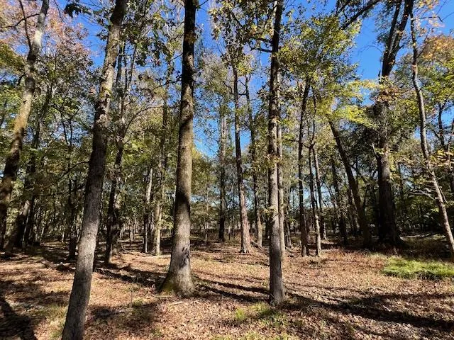 Photo 5 — 176 Deer Valley Circle, Broken Bow, OK 74728
