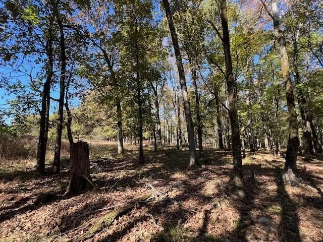 Photo 6 — 176 Deer Valley Circle, Broken Bow, OK 74728