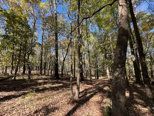 Photo 8 — 176 Deer Valley Circle, Broken Bow, OK 74728