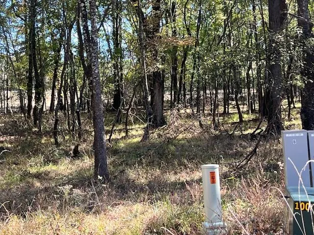 Front exterior — 196 Deer Valley Circle, Broken Bow, OK 74728